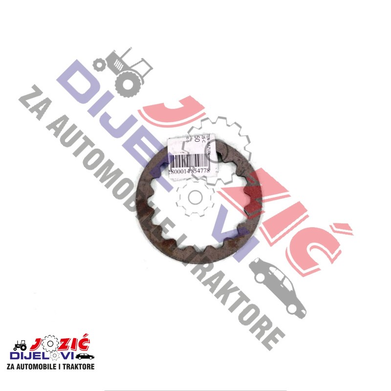 Daisy on the Ohoopee